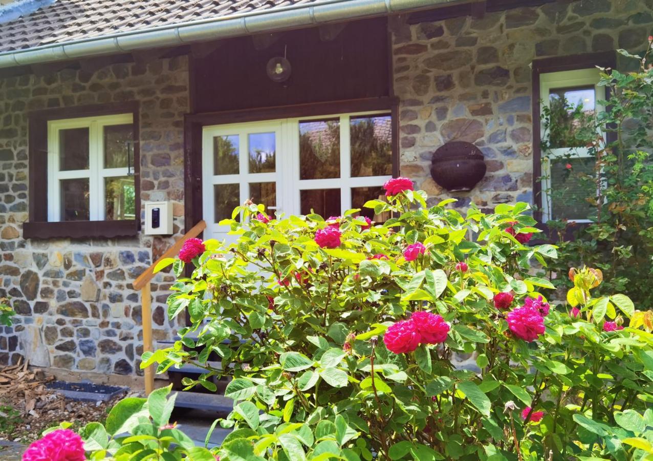 Ferienhaus Eifelrose 锡默拉特 外观 照片