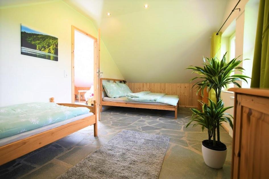 Ferienhaus Eifelrose 锡默拉特 外观 照片