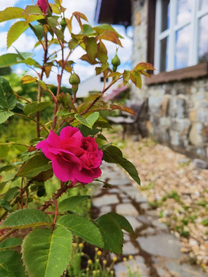 Ferienhaus Eifelrose 锡默拉特 外观 照片
