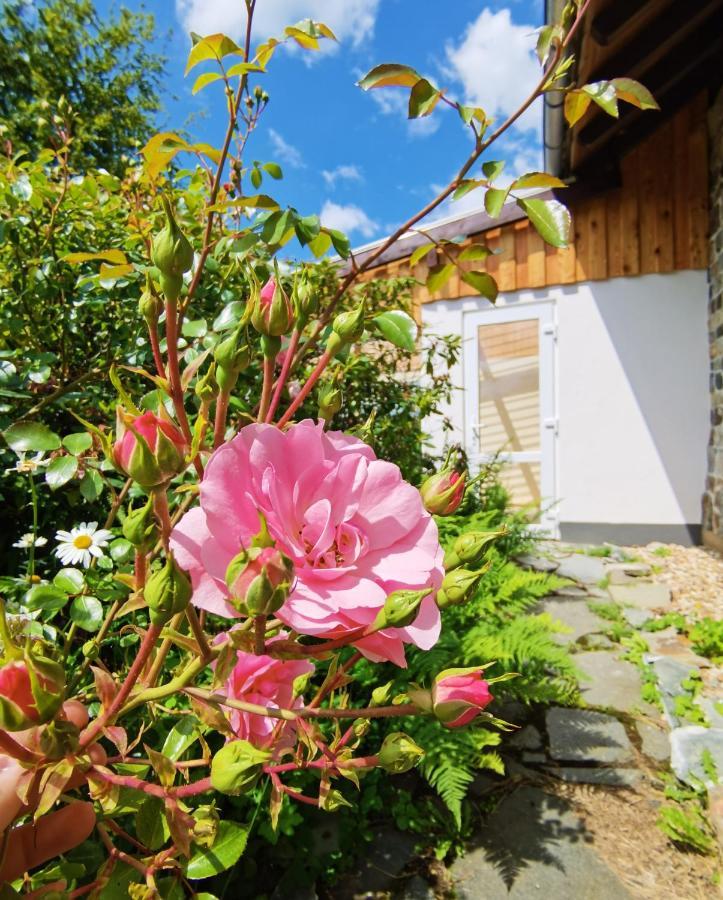 Ferienhaus Eifelrose 锡默拉特 外观 照片
