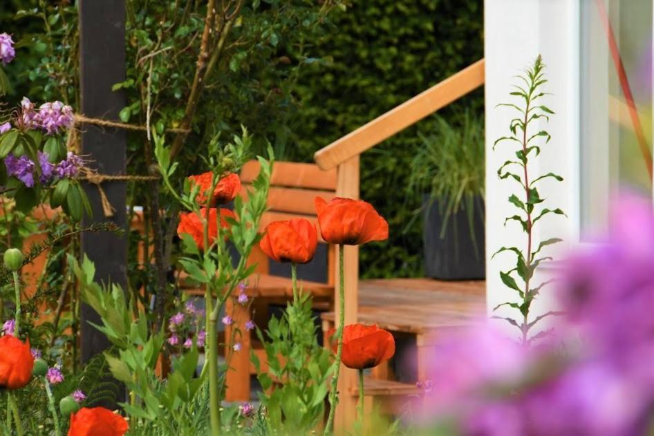Ferienhaus Eifelrose 锡默拉特 外观 照片
