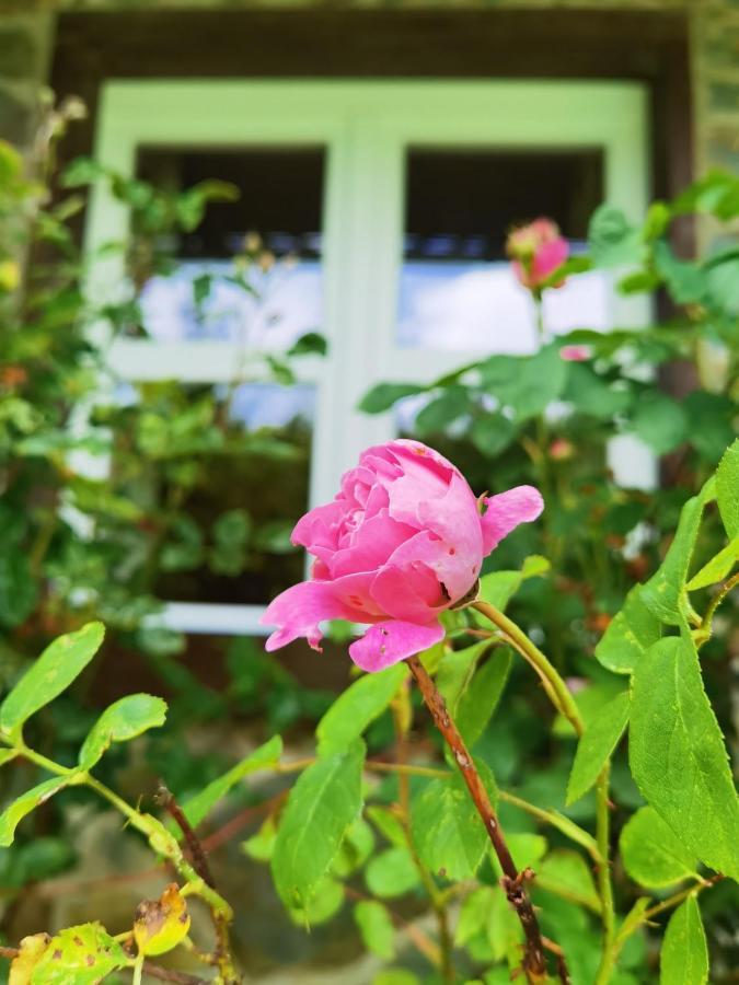 Ferienhaus Eifelrose 锡默拉特 外观 照片