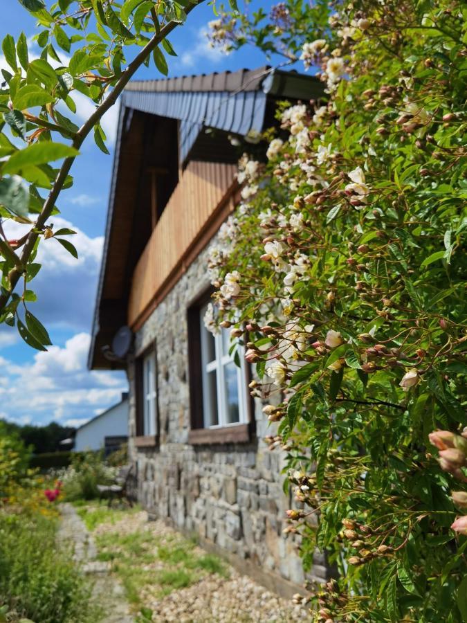 Ferienhaus Eifelrose 锡默拉特 外观 照片